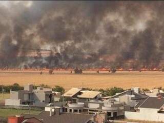 Incêndio consumiu pelo menos 100 hectares. (Foto: Divulgação)