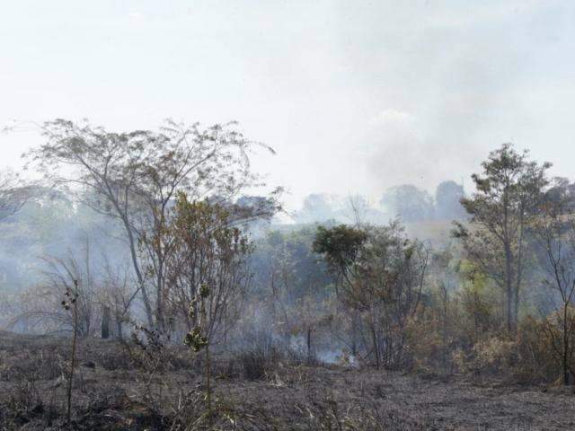 Inmet alerta para risco de ventos no fim de semana aumentarem queimadas