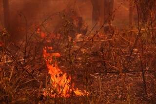 Fogo em terreno no Tiradentes se alastrou rapidamente por causa do tempo seco. (Foto: Marcos Ermínio)