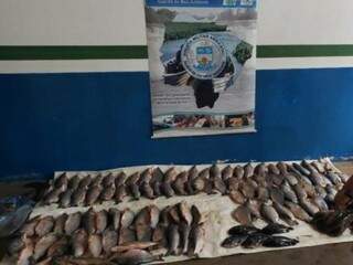 Apreensão de pescado feita no dia 17, em Naviraí (Foto/PMA)