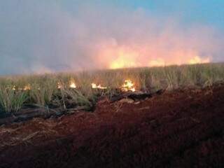 Usina sucroalcooleira &eacute; multada em R$ 25 mil por inc&ecirc;ndio ilegal