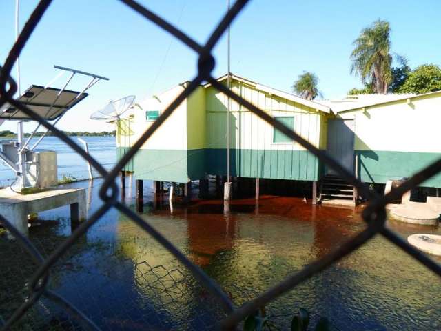 Em seis dias chove 3 vezes mais do que o esperado no Pantanal