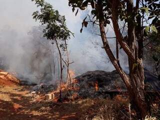 Vegetação sendo consumida pelo fogo, na tarde desta sexta-feira (Foto: Geisy Garnes)