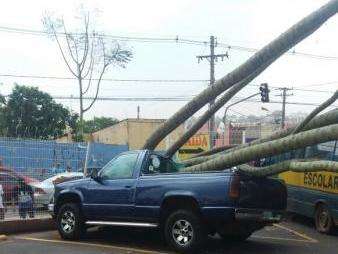 Ventania anuncia chegada de temporal e causa estragos pela Capital