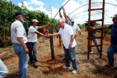 Estufas v&atilde;o reduzir perdas na produ&ccedil;&atilde;o de org&acirc;nicos em Campo Grande
