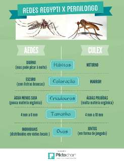 Estudo da Fiocruz aponta pernilongo como possível transmissor do vírus Zika