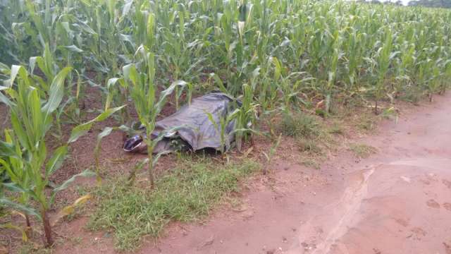 Acusado de homic&iacute;dio &eacute; encontrado morto com marcas de tiros e algemado