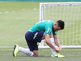 Atacante Willian deve ser novidade do alviverde paulista hoje (Foto: Palmeiras/Divulgação)