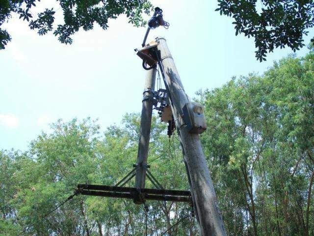 &Aacute;rvore cai e quebra poste de concreto em avenida de Campo Grande