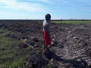 Criança indígena observa a terra lavrada em fazenda (Foto: Cimi/Divulgação) 