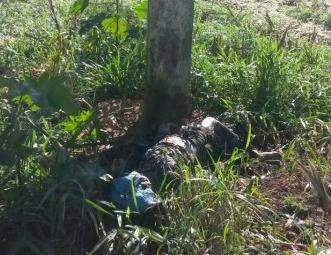 Moradores encontram corpo de homem carbonizado, enrolado em sacos 