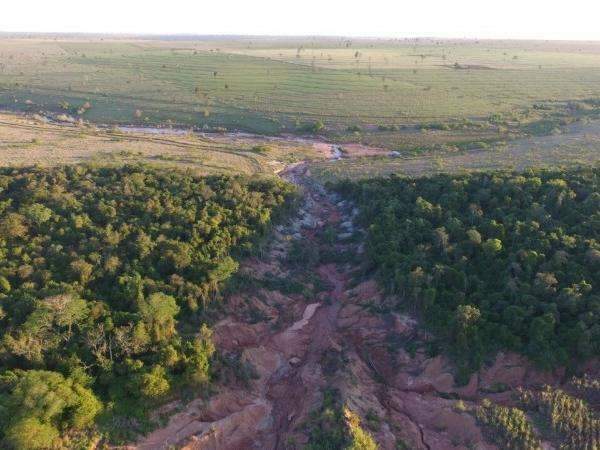 Empresa &eacute; multada em R$ 72 mil por vo&ccedil;oroca em &aacute;rea preservada