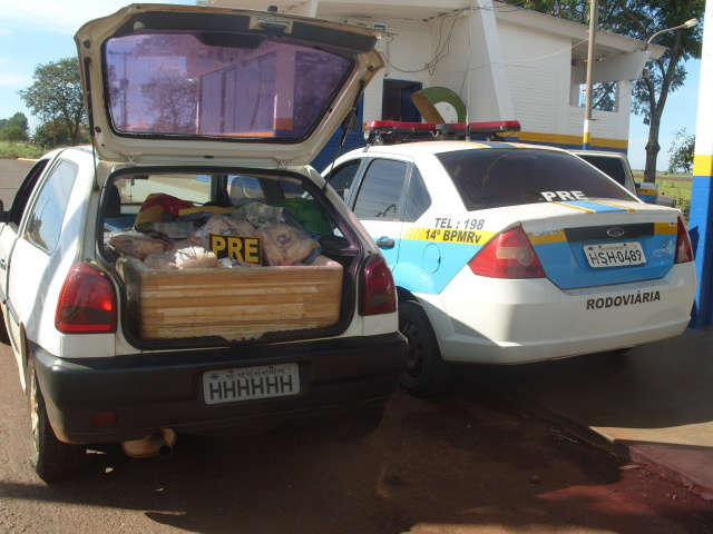  Pol&iacute;cia apreende cerca de 200 frangos caipiras coloridos artificialmente