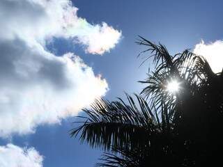 Sol aparece entre nuvens em Campo Grande nesta quinta-feira (Foto: André Bittar)