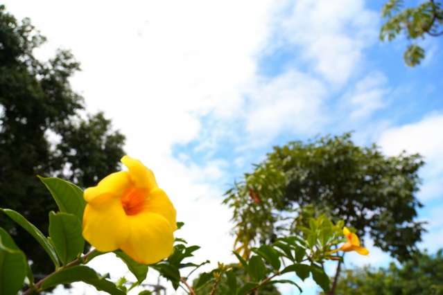 Ver&atilde;o chega dia 21 e traz m&aacute;xima de 35&ordm;C, chuvas e alerta para raios 