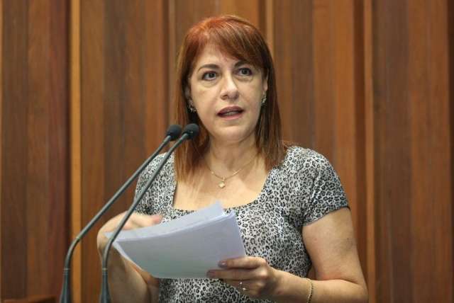 Servidores da Agepan foram a Assembleia pedir apoio para aprova&ccedil;&atilde;o de PCC