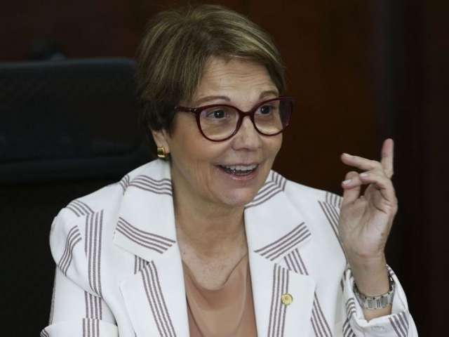 Ningu&eacute;m passa fome porque Brasil &ldquo;t&ecirc;m mangas&rdquo;, declara Tereza Cristina