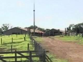 Fazenda Água da Mata, no município de Primeiro de Maio, no Paraná (Foto: Reprodução/Youtube)