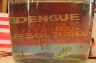 Lei  também cria  o Programa Nacional de Apoio ao Combate às Doenças Transmitidas pelo Aedes , como a dengue. (Foto: Rodrigo Pazinato/Arquivo)