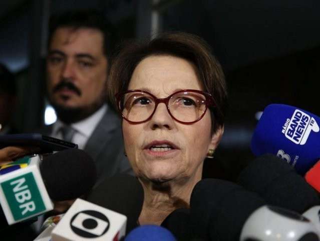 Meta da agropecu&aacute;ria &eacute; abastecer mercado interno, diz Tereza Cristina