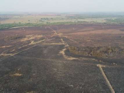 Usina &eacute; multada em quase meio milh&atilde;o por inc&ecirc;ndio em 441 hectares 