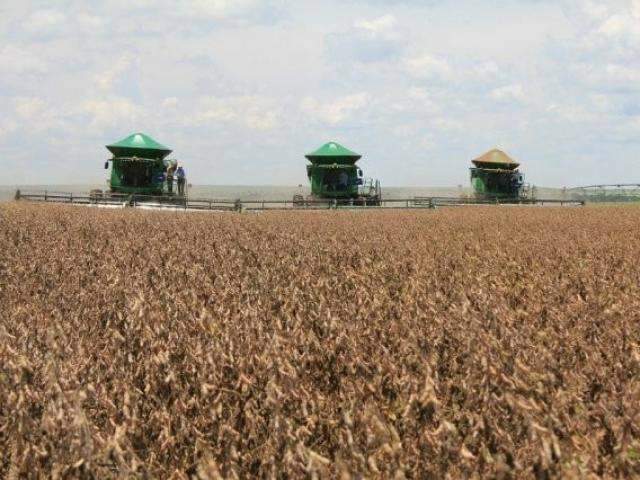 Iagro avalia que presen&ccedil;a de ferrugem asi&aacute;tica em MS est&aacute; &ldquo;dentro dos padr&otilde;es&rdquo;