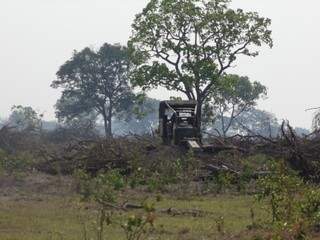Fazendeiro foi multado e equipamentos usados no desmatamento apreendidos (Foto: Reprodução)