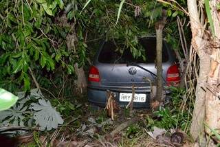 Carro caiu em meio as árvores próximo à avenida Prosidente Vargas, em Coxim (Foto:  Maikon Leal)