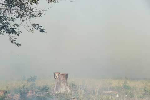 Incêndio atinge terreno e fumaça é vista a 20 quilômetros no Lagoa Dourada