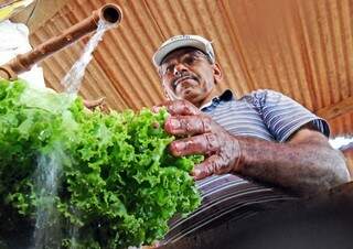 Desde que veio para a Capital, há 18 anos, o alagoano Gervasio vive do cultivo de hortaliças (Foto: Marcos Ermínio)