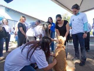 Lançamento da campanha de vacinação aconteceu nesta quarta-feira, no CCZ, em Campo Grande (Foto: PMCG) 