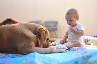 Cão e bebê até dividem o mesmo espaço nas brincadeiras. (Foto: Alcides Neto)