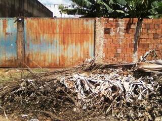 Tormento para moradores do Guanandi II, vizinho junta lixo em frente de casa. (Foto: Vanilton Braga)