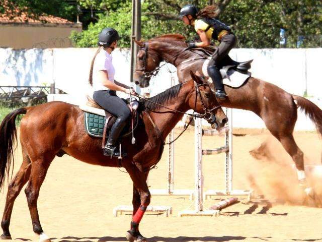 Campo Grande ser&aacute; sede de competi&ccedil;&atilde;o de hipismo da regi&atilde;o centro-oeste