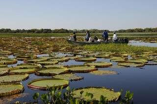 Rota Pantanal-Bonito oferece diversos passeios  aos turistas (Fotos: Raquel dos Passos)
