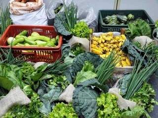 Verduras, legumes e frutas que são fornecidos para as merendas nas escolas. (Foto: Divulgação) 