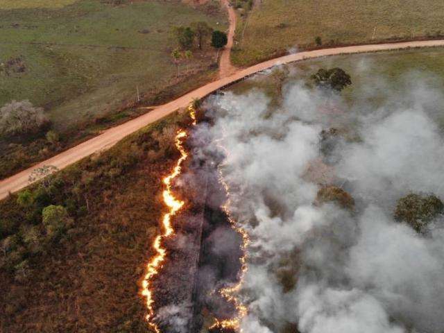 TJ rejeita pedido de fazendeiros contra invas&atilde;o em fazenda de R$ 10 milh&otilde;es