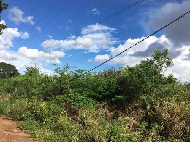 Poda ilegal atinge rede el&eacute;trica e deixa 3 mil moradores sem luz