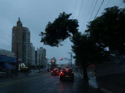Ventos durante chuva forte chegaram a 60 km por hora em Campo Grande