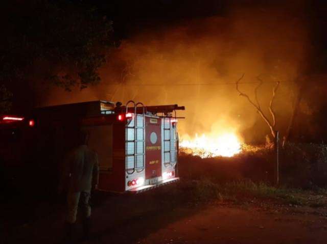 Chamas de 2 metros atingem vegeta&ccedil;&atilde;o no Parque dos Poderes