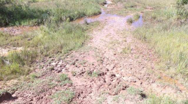 Pecuarista &eacute; multado em R$ 315 mil por criar gado em &aacute;rea de preserva&ccedil;&atilde;o