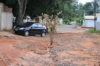 Moradores colocaram galho de árvore para sinalizar cratera no meio da rua. (Foto: Marcelo Calazans)