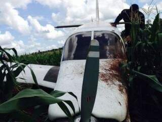 Avião caiu em meio a milharal. (Foto: MS Em Foco)