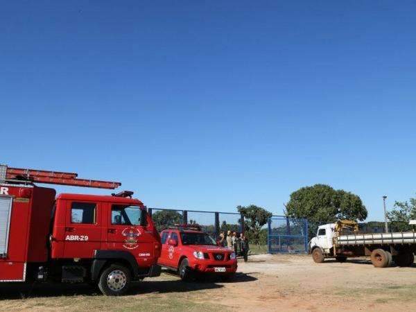 Debilitada &agrave; espera de resgate, vaca agoniza presa dentro de cratera