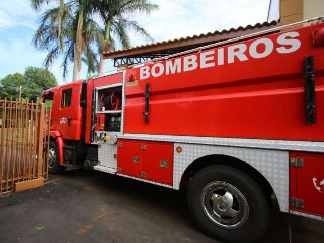 Bombeiros isolam &aacute;rea de condom&iacute;nio ap&oacute;s ataque de abelhas