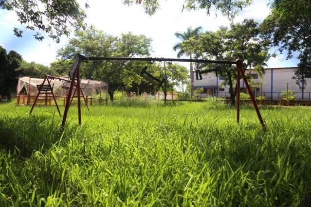 Aulas voltam em fevereiro, mas mato e sujeira em creches ainda preocupam