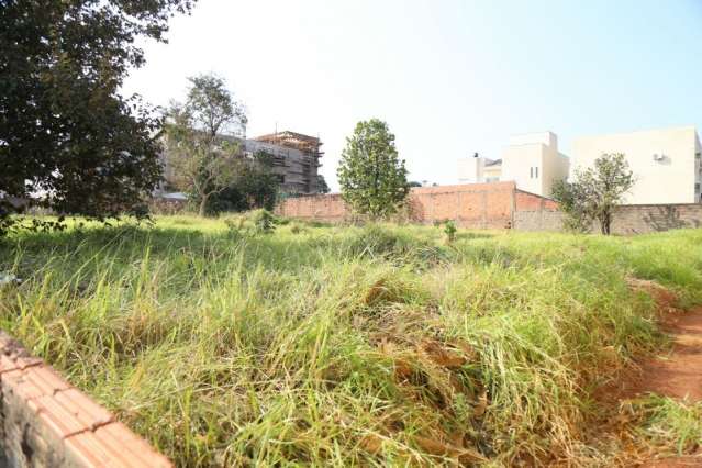 Terreno com mato alto preocupa e morador procura pol&iacute;cia para denunciar