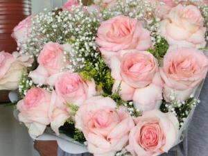 Pre&ccedil;os de flores variam at&eacute; 216% no Dia dos Namorados, diz Procon