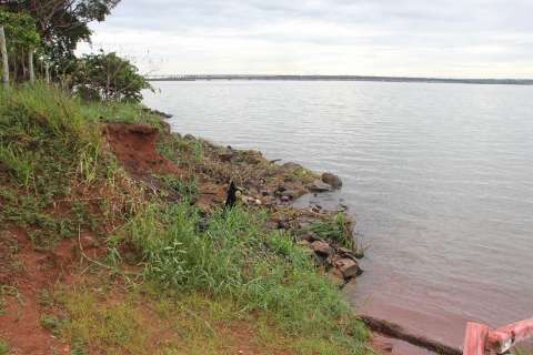 Chuva ajuda, nível do rio Paraná volta ao normal e revive produção de cidade 