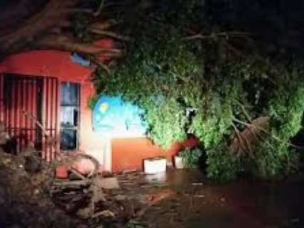 Vendaval derruba 10 árvores e deixa casas sem energia no interior 